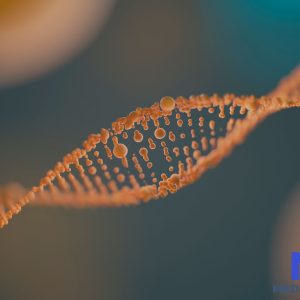 Molecular Biology