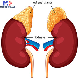 Nephrology